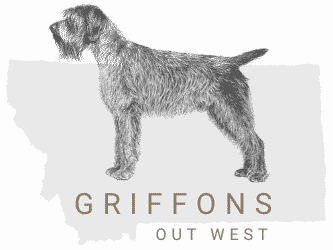 Griffons Out West